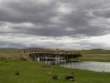 mongolie-gol-mod-075