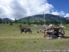 p1000451