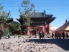 4-pigeons-de-la-paix