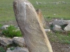mongolie-gol-mod-474