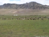 mongolie-092005-070
