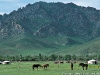mongolie17