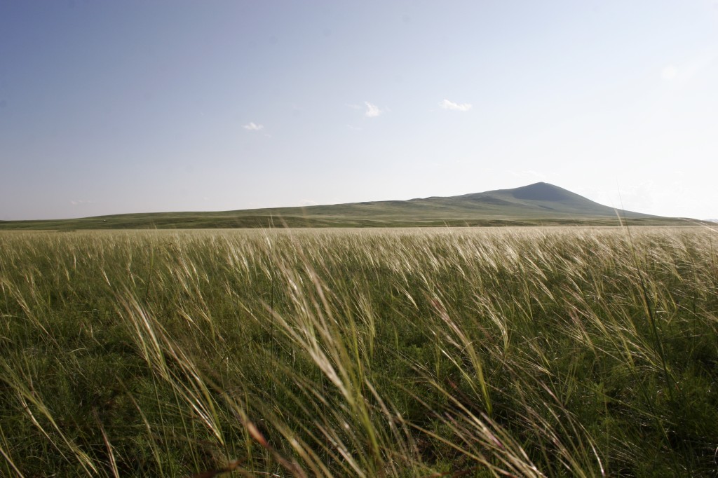 Steppes de Mongolie