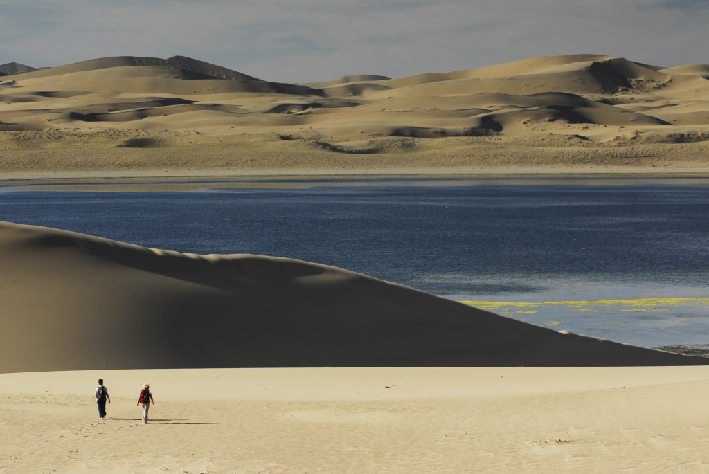 Mongolie