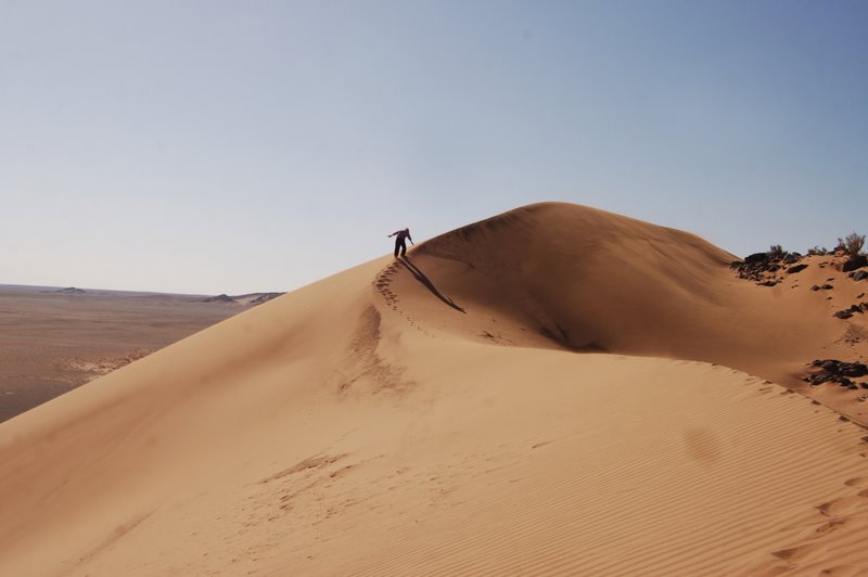 Désert de Gobi - Mongolie