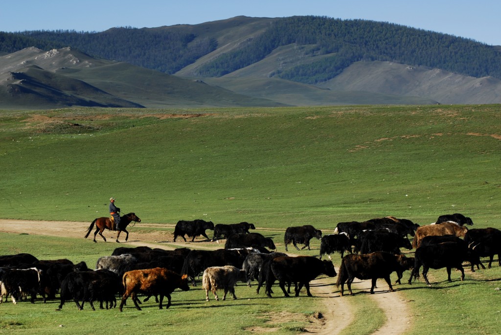 Mongolie