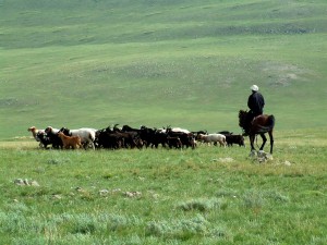 Mongolie_061_Girafoto.jpg
